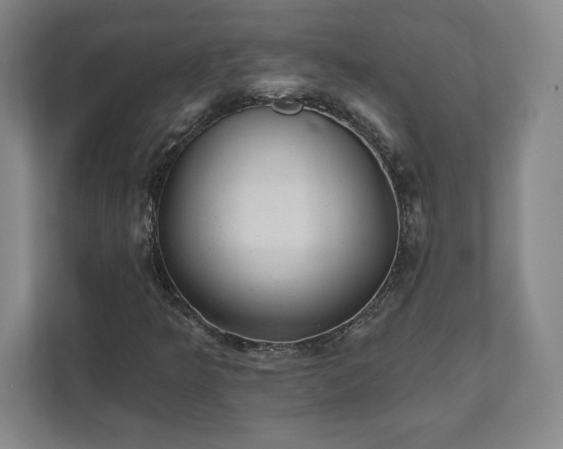 X0000111941349200908031130