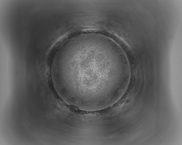 X0000111941351200908031130