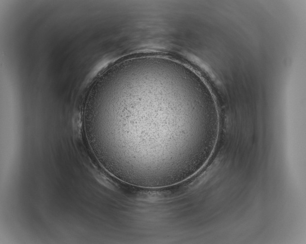 X0000111941355200908031130