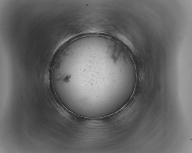 X0000111941356200908031130