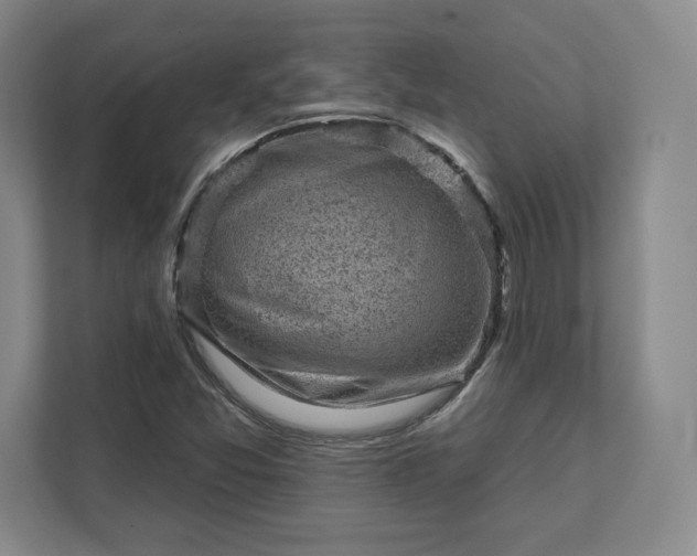 X0000111941357200908031130