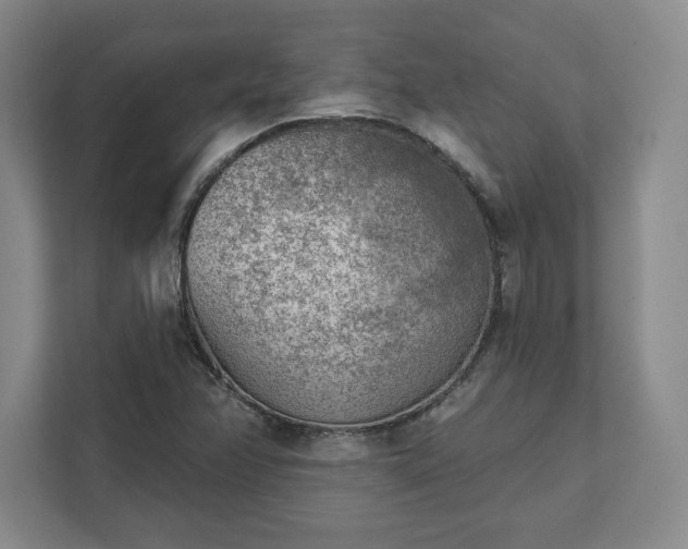 X0000111941358200908031130