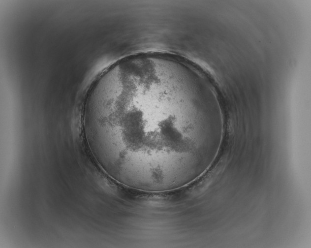 X0000111941359200908031130