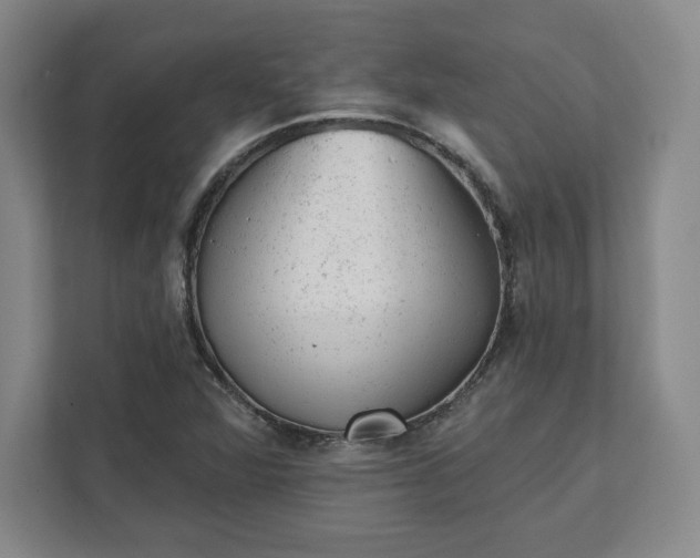 X0000111941360200908031130