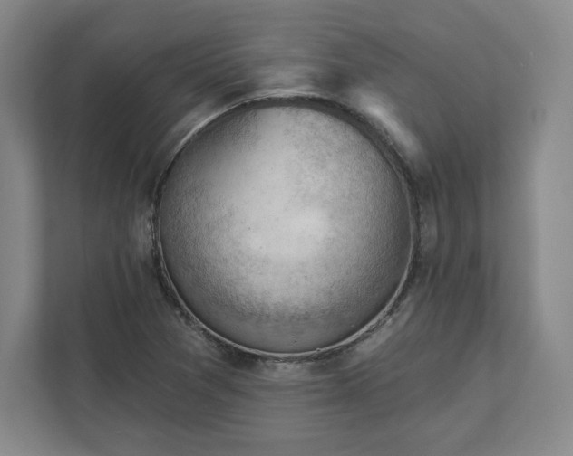 X0000111941361200908031130