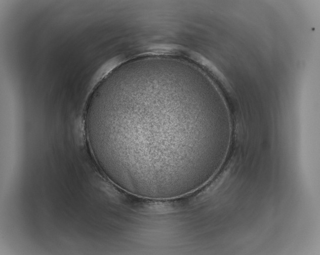 X0000111941362200908031130