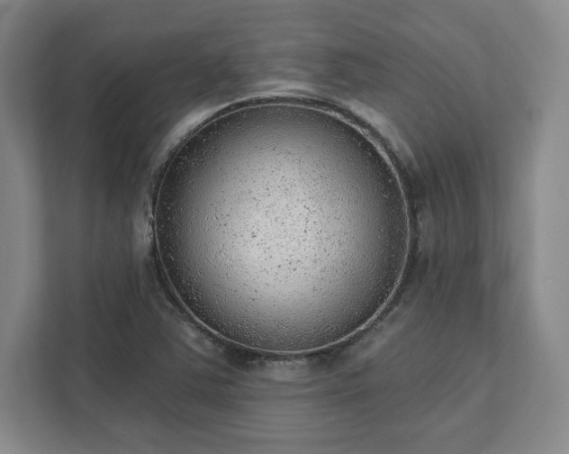 X0000111941363200908031130