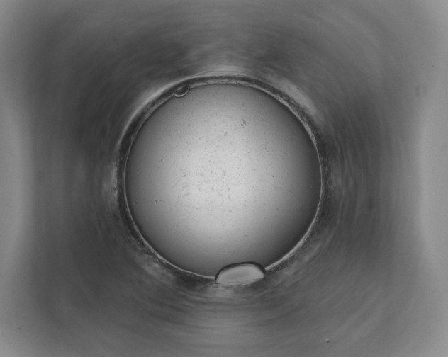 X0000111941364200908031129