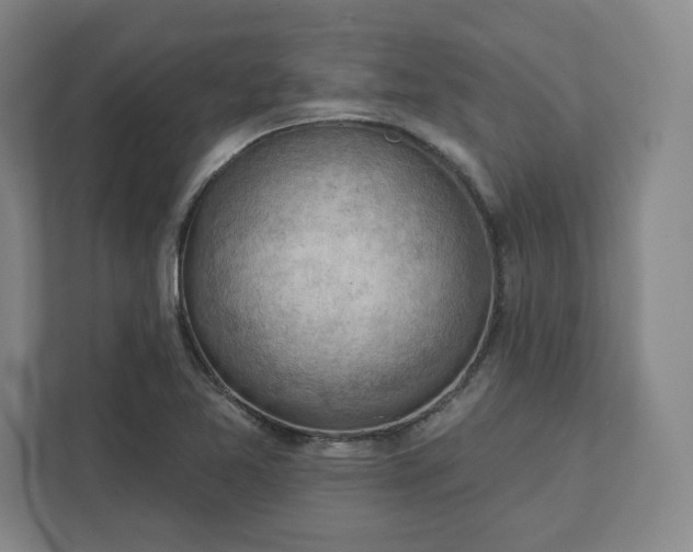 X0000111941365200908031129