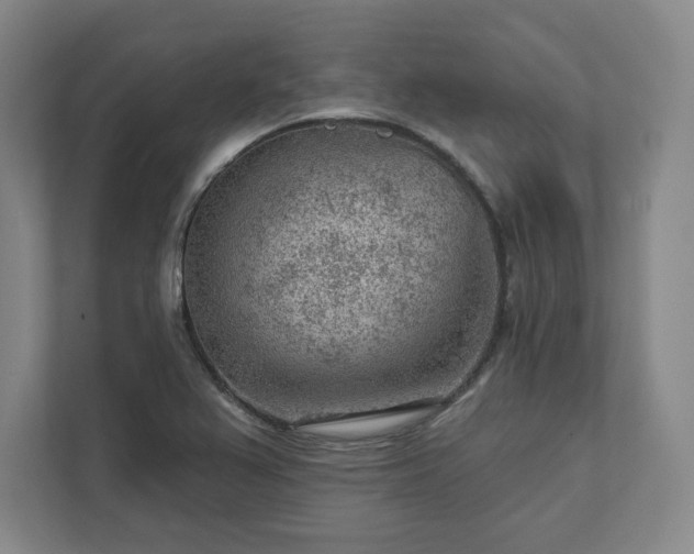 X0000111941367200908031129