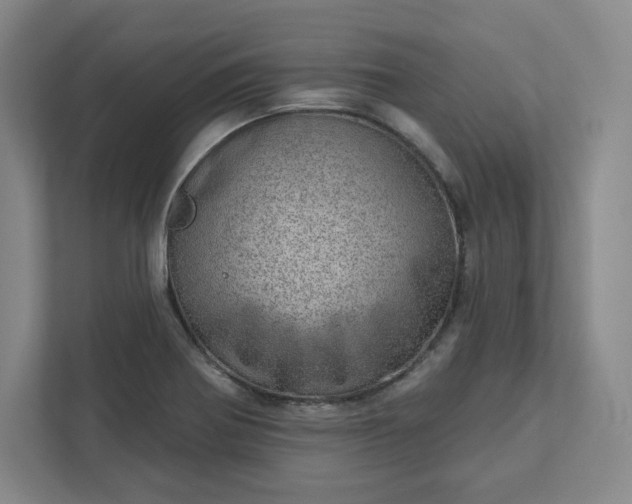 X0000111941370200908031129