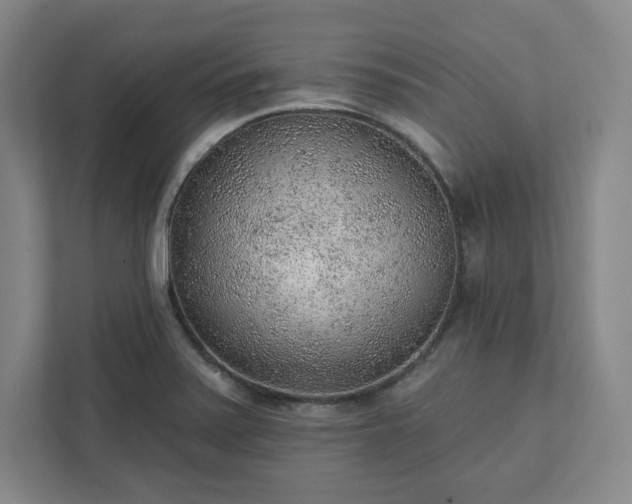 X0000111941371200908031129