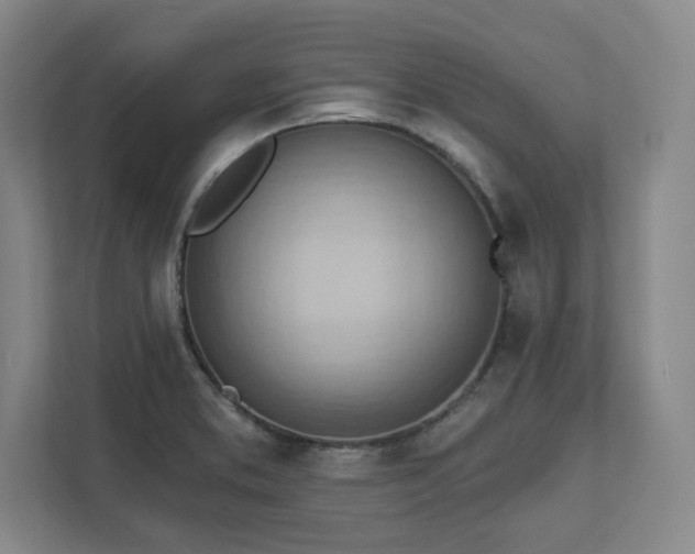 X0000111941373200908031129