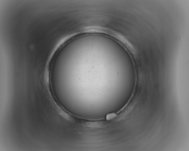 X0000111941376200908031129