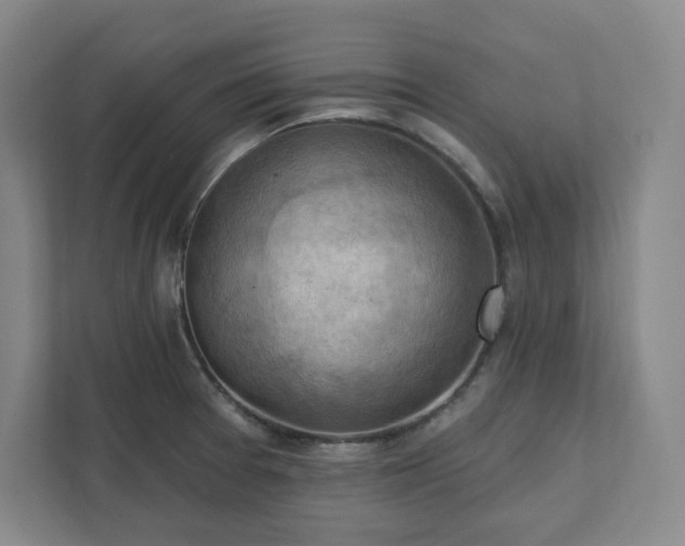 X0000111941377200908031129