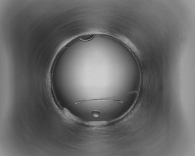 X0000111941380200908031129