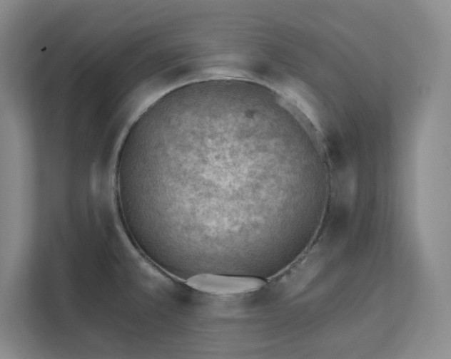 X0000111941381200908031129