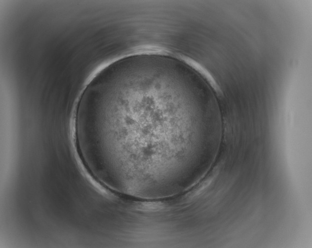 X0000111941383200908031129