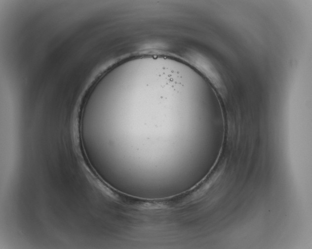 X0000111941384200908031129