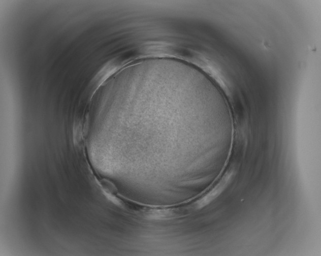 X0000111941385200908031129