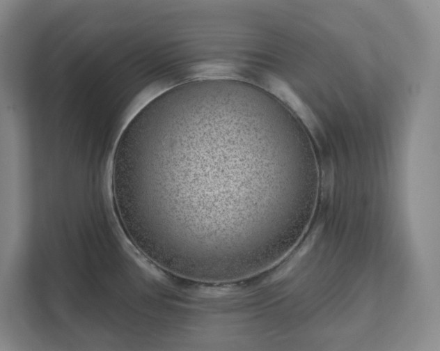 X0000111941386200908031129