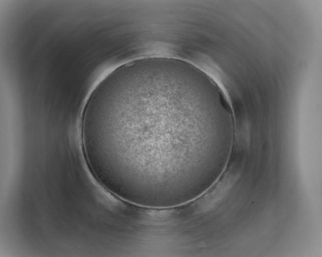 X0000111941389200908031129