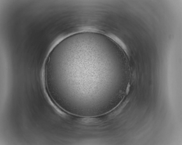 X0000111941391200908031129