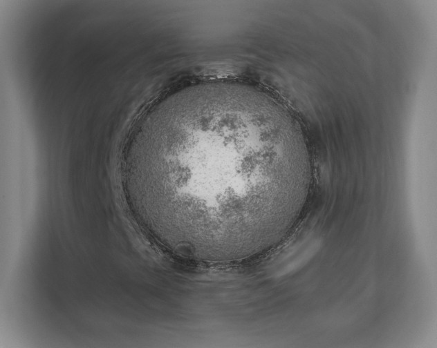 X0000111941393200908031129