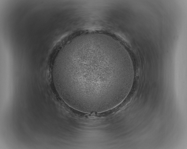 X0000111941398200908031129