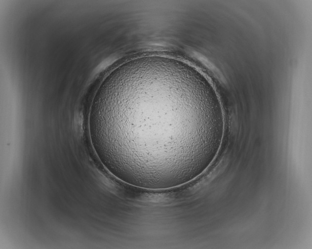 X0000111941402200908031129