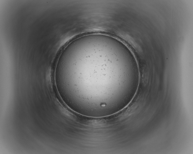 X0000111941404200908031129