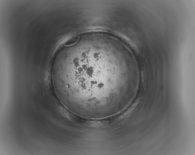 X0000111941405200908031129