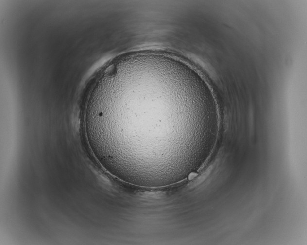 X0000111941406200908031129