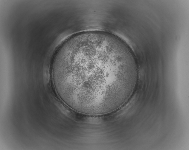 X0000111941407200908031129