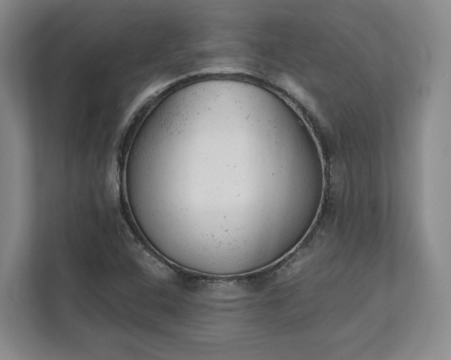 X0000111941408200908031129