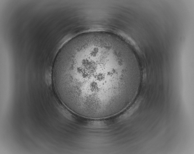 X0000111941409200908031129