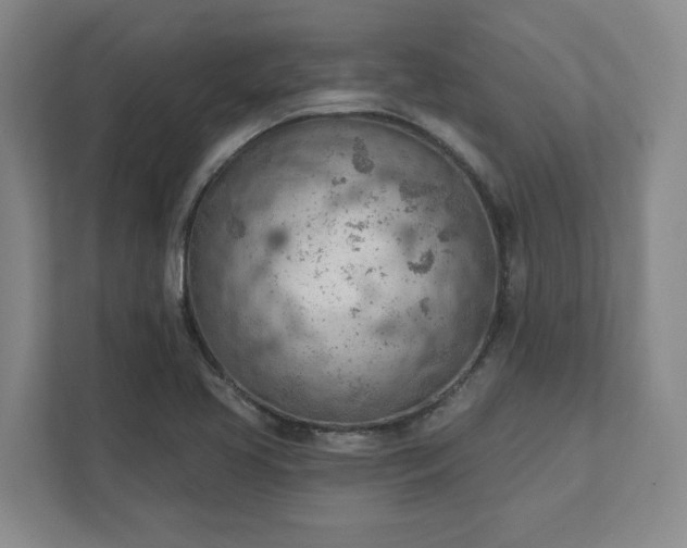 X0000111941413200908031129