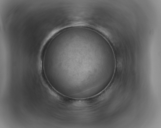 X0000111941414200908031129