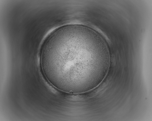 X0000111941416200908031129