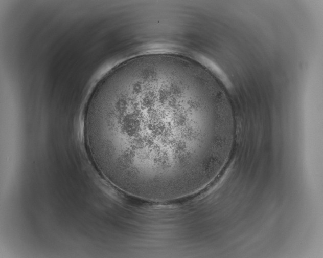 X0000111941419200908031129