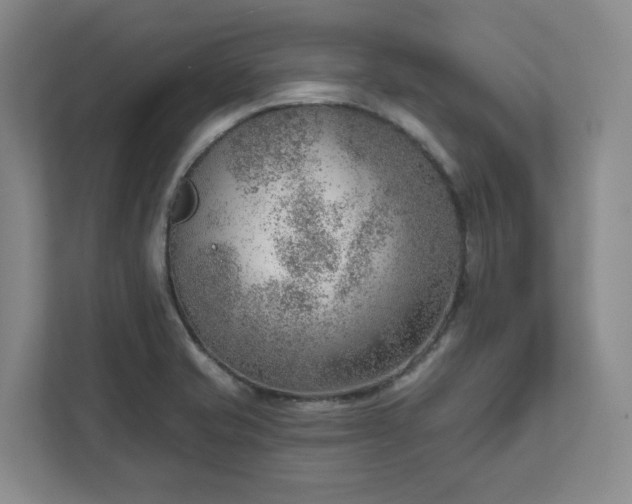 X0000111941421200908031129