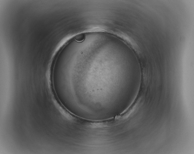 X0000111941422200908031129