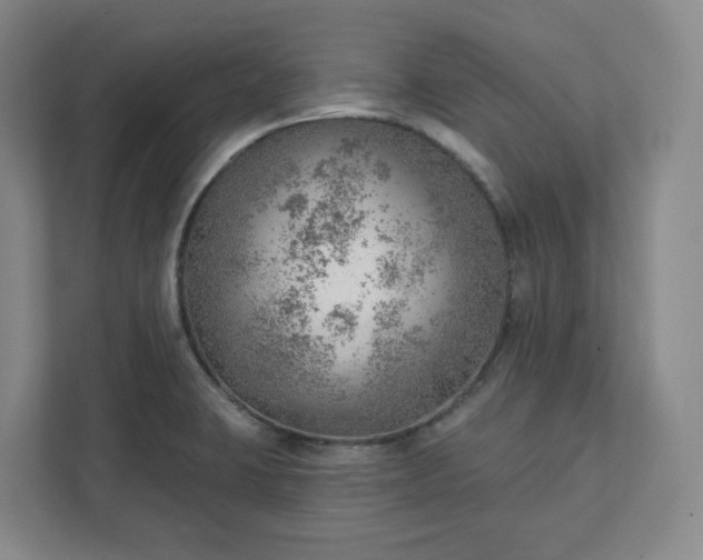 X0000111941423200908031129