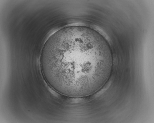 X0000111941425200908031129