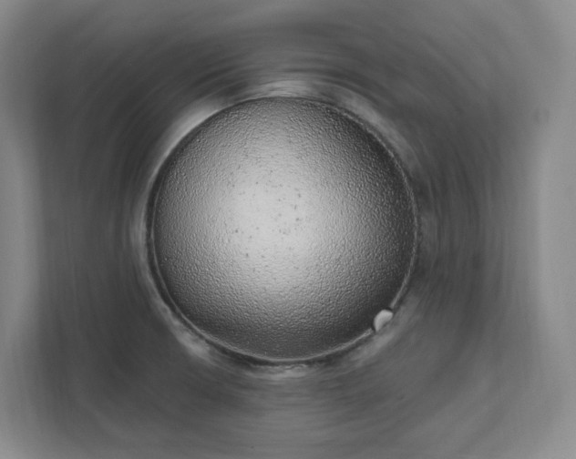 X0000111941426200908031129