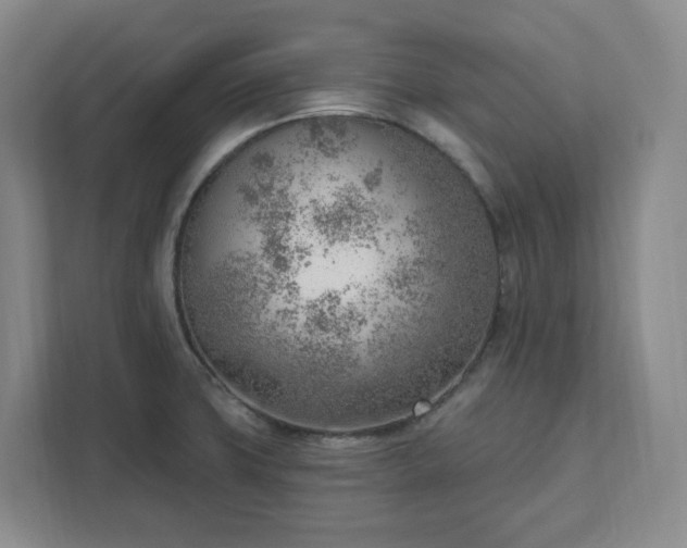 X0000111941427200908031129