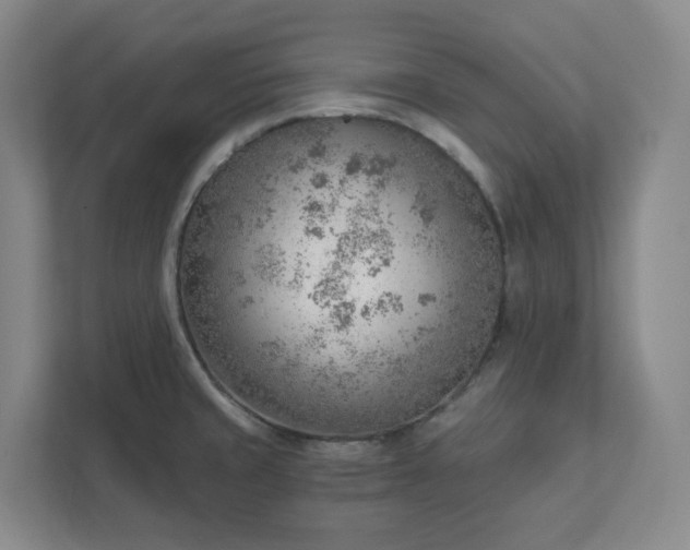 X0000111941429200908031129