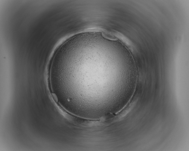 X0000111941430200908031129