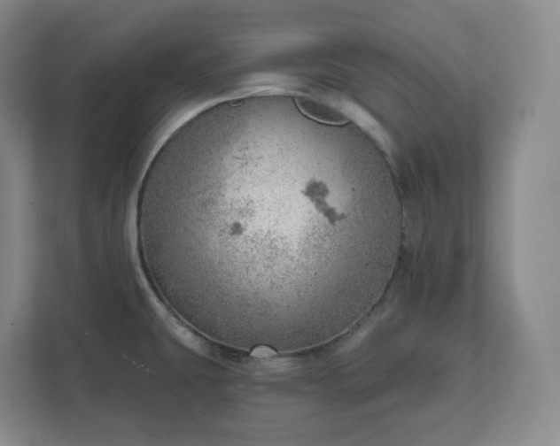 X0000111941431200908031129