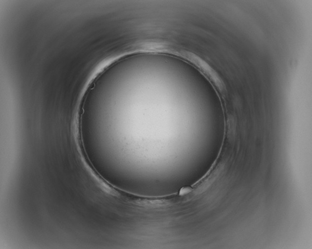 X0000111941432200908031129